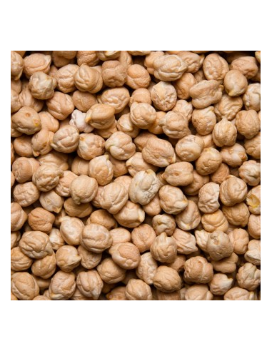 GARBANZO LECHOSO KG