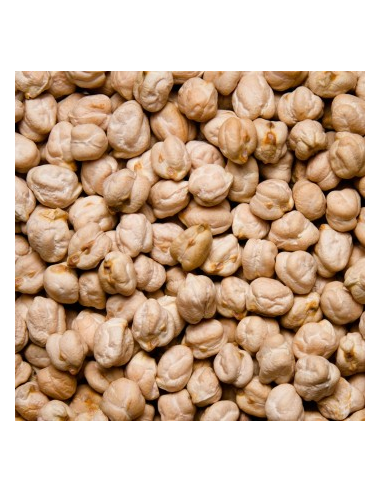 GARBANZA EXTRA KG