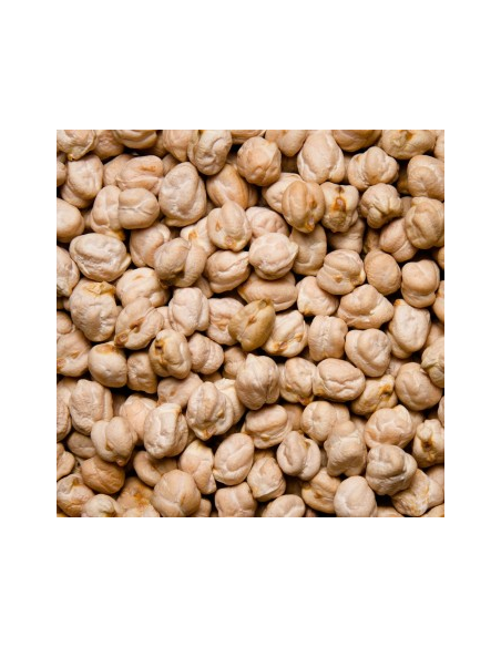 GARBANZA EXTRA KG