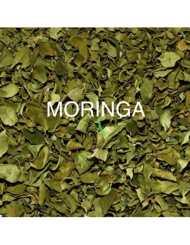 MORINGA KG.