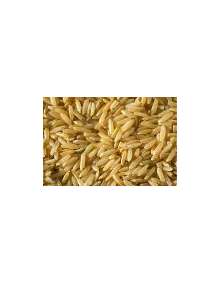 ARROZ INTEGRAL KG