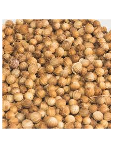 CILANTRO GRANO 2