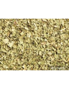 CILANTRO HOJA 2