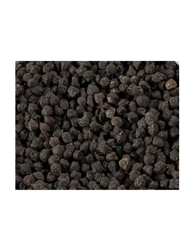 GARBANZO NEGRO KG