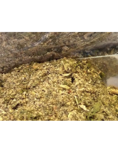 CONDIMENTO PESCADO KG