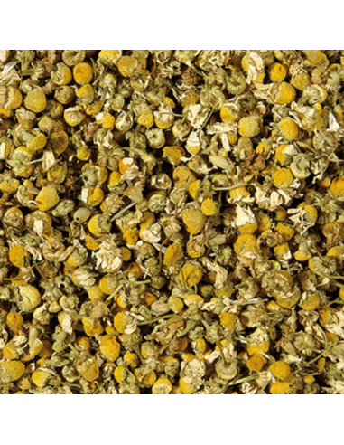 MANZANILLA FLOR KG