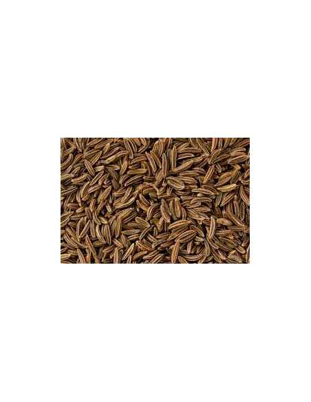 ALCARAVEA KG