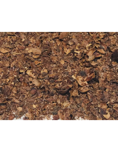 INFUSIÓN DE CACAO 2