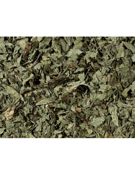 INFUSIÓN POLEO MENTA