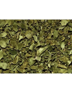 MORINGA 2