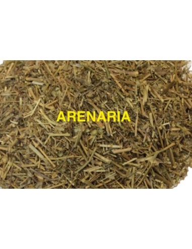 ARENARIA (ROMPEPIEDRAS) KG