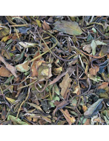 TE BLANCO PAI MU TAN (BIO) KG