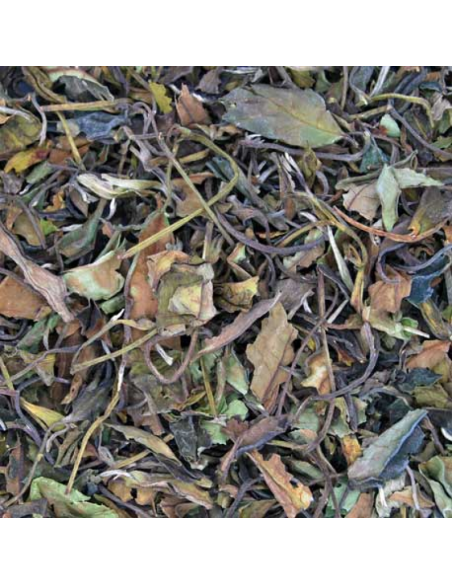 TE BLANCO PAI MU TAN (BIO) KG