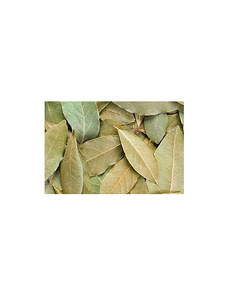 LAUREL HOJA KG