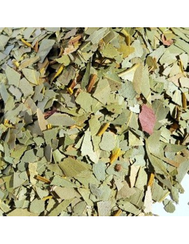 EUCALIPTO HOJA CORTADA KG