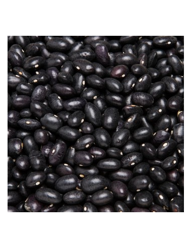 ALUBIA NEGRA KG