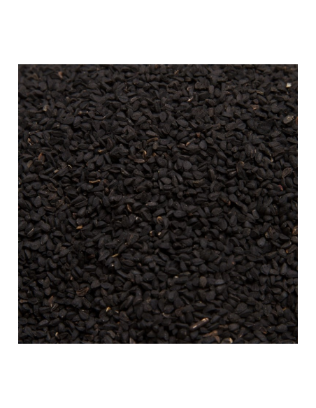 COMINO NEGRO(NIGELLA) KG