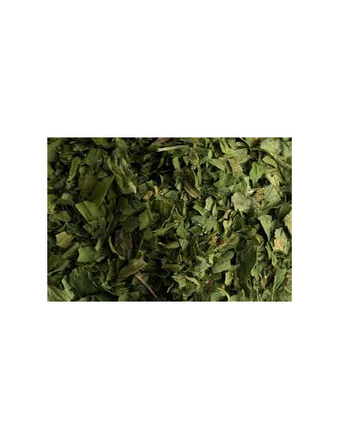 PEREJIL HOJA KG