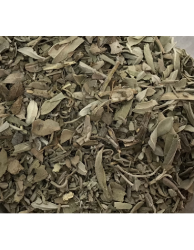SALVIA GRANELES KG