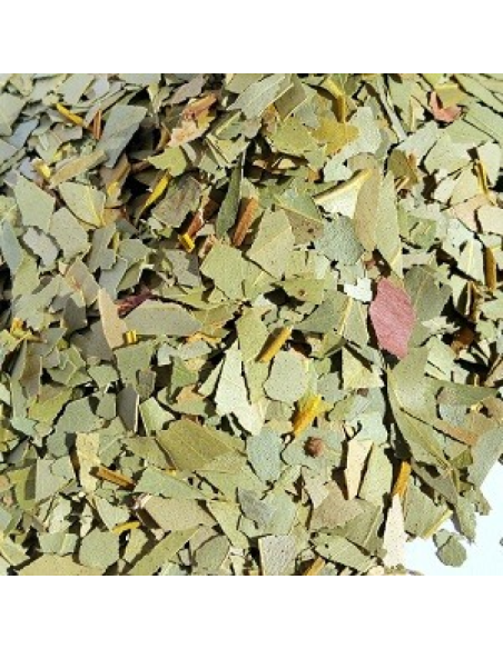 EUCALIPTO HOJA CORTADA KG