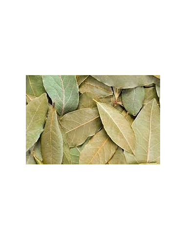 LAUREL HOJA KG
