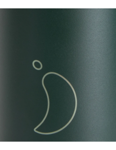 BOTELLA CHILLYS VERDE MATE 750 ML 2