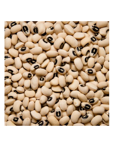 ALUBIA CARILLA KG