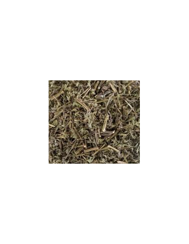ARTEMISA VULGARIS KG
