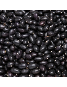 ALUBIA NEGRA 2