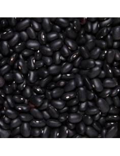 FRIJOL NEGRO 2