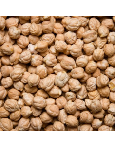 GARBANZO LECHOSO 2