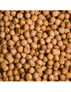 GARBANZO PEDROSILLANO 2