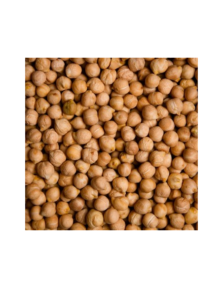 GARBANZO PEDROSILLANO