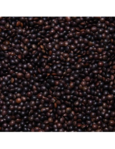 LENTEJA BELUGA O CAVIAR 2