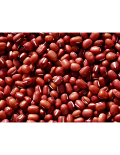 SOJA ROJA O JUDÍA ADZUKI 2