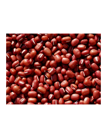 SOJA ROJA O JUDÍA ADZUKI