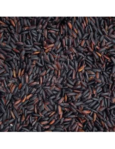 ARROZ NEGRO O NERONE 2