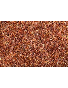 ARROZ ROJO 2