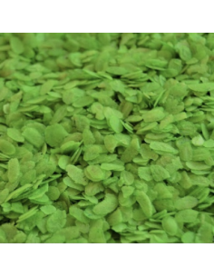 ARROZ VERDE VIETNAMITA 2