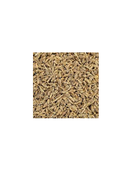 ANÍS EN GRANO
