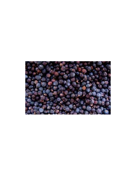 BAYAS DE ENEBRO