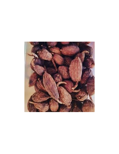 CARDAMOMO NEGRO