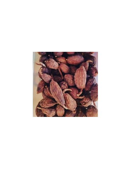 CARDAMOMO NEGRO