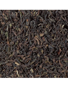TE NEGRO DARJEELING 2