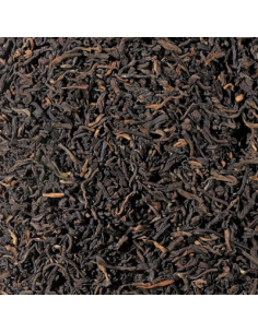 TE ROJO PU ERH 2