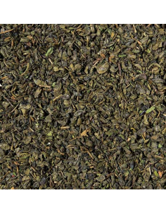 TE VERDE MORUNO 2