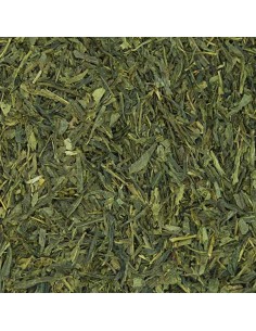 TE VERDE SENCHA 2