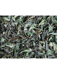 TE BLANCO PAI MU TAN (BIO) 2