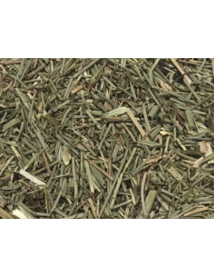COLA DE CABALLO 2
