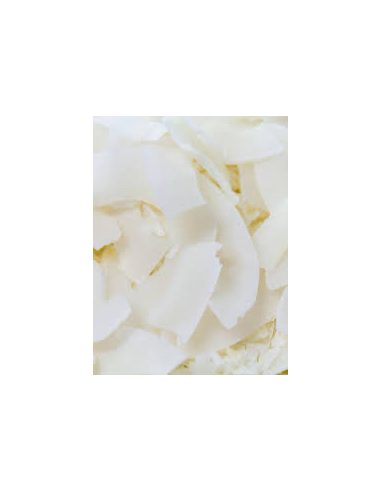 COCO LAMINADO BIO S/A KG